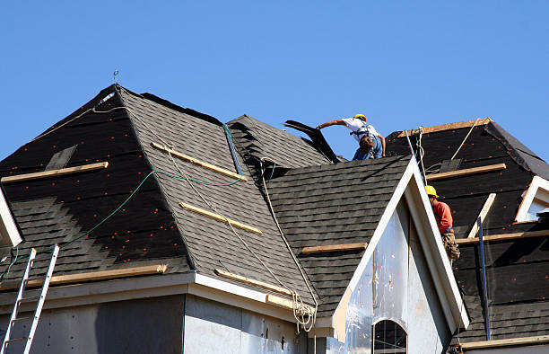 Best Shingle Roofing Installation  in Beaver Dam, WI